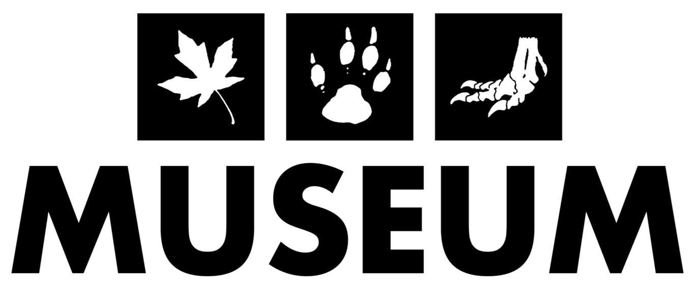 image if available