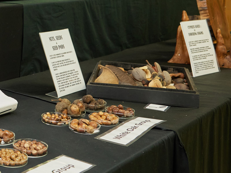 nuts and seeds exhibit