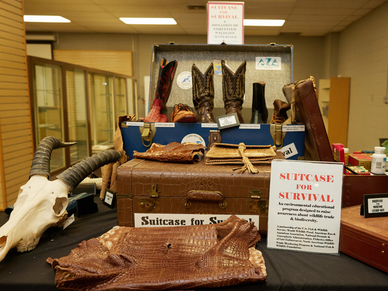 Suitcase for Survival Exhibit